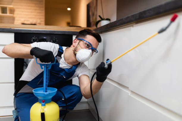 Best Local Pest Control Services  in Desoto Lakes, FL