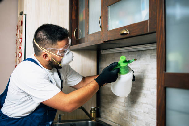 Best Affordable Pest Control Services  in Desoto Lakes, FL