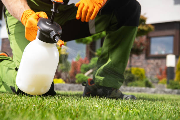 Best Pest Prevention Services  in Desoto Lakes, FL