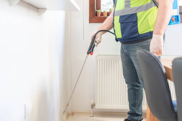 Best Flea Control Services  in Desoto Lakes, FL