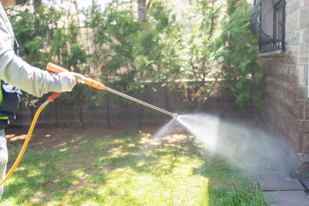 Best Pest Inspection Near Me  in Desoto Lakes, FL