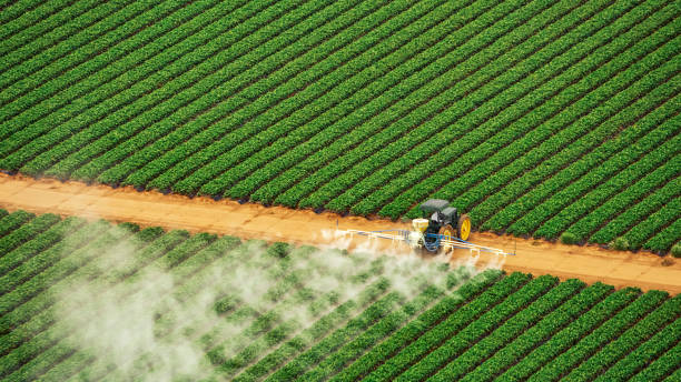 Best Insect Control  in Desoto Lakes, FL