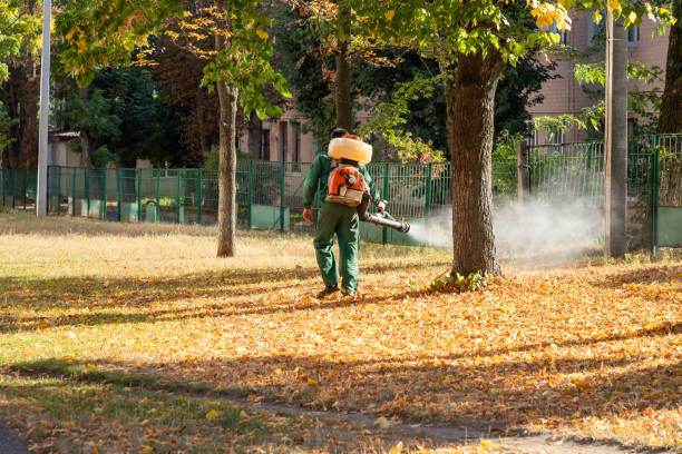 Best Pest Removal Services  in Desoto Lakes, FL
