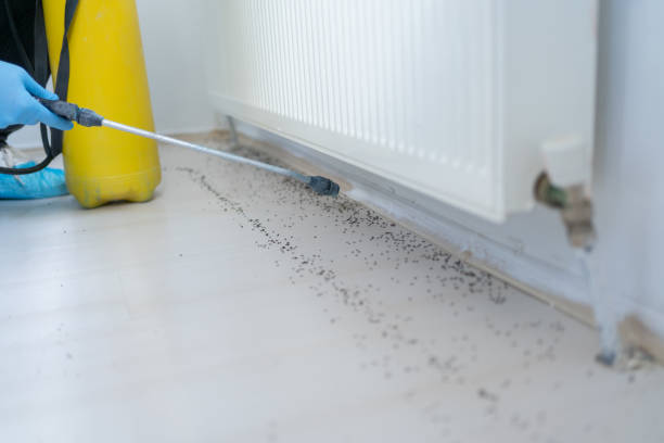 Desoto Lakes, FL Pest Control Company